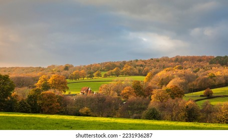 Warm sunset light catching autumn woodland countryside on the high weald near Robertsbridge  East Sussex south east England - Shutterstock ID 2231936287