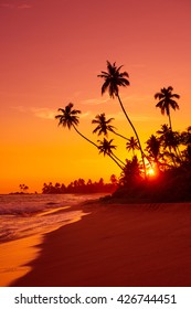 Warm sunset on tropical beach