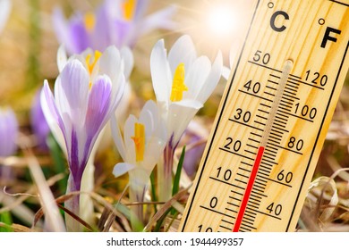 Warm Temperature At Spring With Fine Weather And Sun