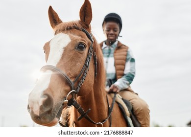 Warm toned portrait of beautiful brown horse in sunlight with unrecognizable female rider, lens flare - Powered by Shutterstock