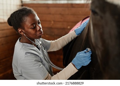 Warm toned portrait of female veterinarian examining horse in stables and using stethoscope - Powered by Shutterstock