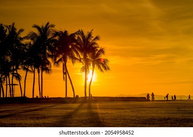 Warm tones in the evening, coconut trees by the beach.