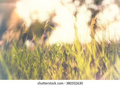 Warm Vintage Blurry Photo Of Summer Meadow At Sunset. Vintage Filter Effect Used.