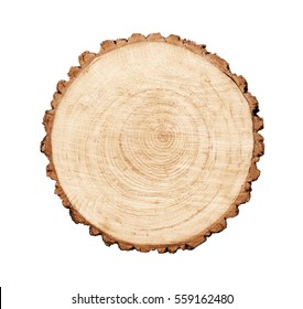Warm wooden tree section with rings and texture isolated on white. Circular background with an organic feel.