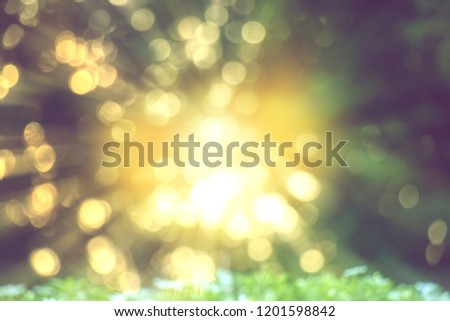 Similar – Image, Stock Photo Golden sunlight filters through a dynamic field of wheat with red poppies, creating a blurred, dreamlike effect