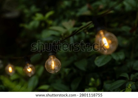 Warm yellow string lights and small bulbs hang outside the coffee shop, casting warm glows in the misty mountain forest, creating a poetic night scene with red flowers and green plants.
