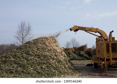 Warminster, Pennsylvania / USA - February 6, 2019: After The Holidays, Christmas Trees Are Ground Up Into Mulch By A Wood Chipper By Municipal Workers.