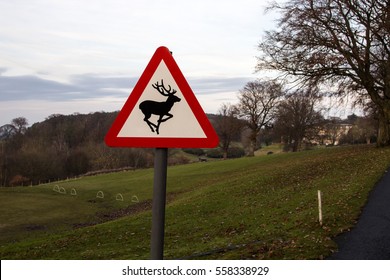 Warning Of Deer Sign In Uk Countryside