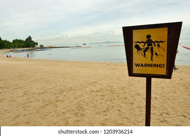 ๋Jellyfish Warning On The Beach.