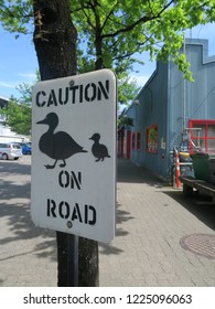 Warning at Road