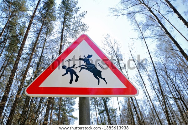 Warning road sign of a\
possible attack by wild elks on humans. Sign about of wild moose on\
a forest road.