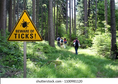 Warnschild "Vorsicht vor Zecken" in befallenen Gebieten im grünen Wald mit Walkern