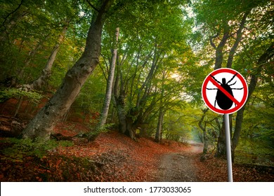 Warning Sign Beware  Of Ticks In Nature Forest. Transmitter Lyme Disease And Tick-borne Meningitis (meningoencephalitis). 