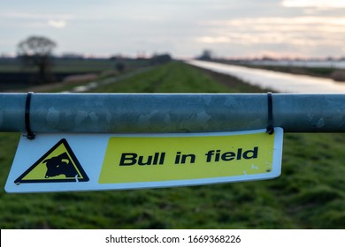 Warning sign Bull in field