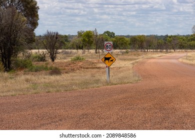 Warning sign on an unsealed and unfenced Queensland country road advising that cattle may be loose and to restrict speed.