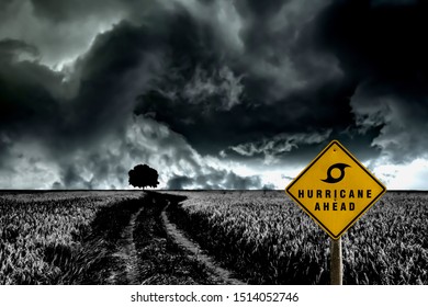 Warning Sign Plate Symbol Or Signal Of Hurricane Season Ahead Stand Through A Dark Thunderstorm Cloud With Big Tree In The Rice Field, Beautiful Power Of Nature For The Global Environment Background