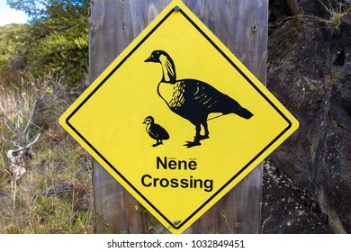 Warning Sign Protecting An Endangered Species, The Nene, In Haleakala National Park On The Island Of Maui In Hawaii