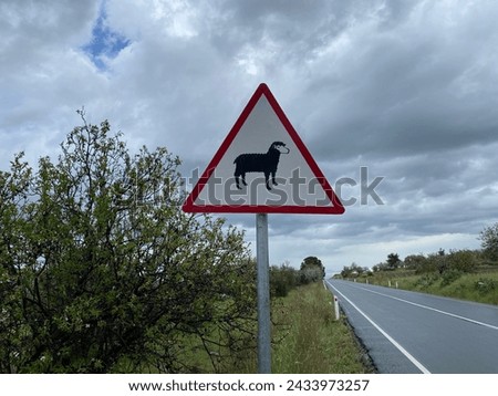 Warning traffic sign for driving cars on local cyprian road to be careful: attention and caution of sheep (animal) crossing in scenic landscape at beautiful rural street village in Cyprus, Europe.