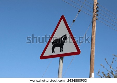 Warning traffic sign for driving cars on local cyprian road to be careful: attention and caution of sheep (animal) crossing in scenic landscape at beautiful rural street village in Cyprus, Europe.