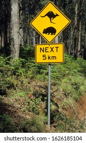 Warnings Sign For Kangaroo And Wombat, Victoria, Australia