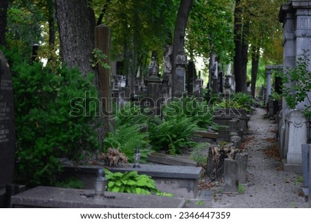 Warsaw old cementery - Powazki. Old graveyard in Poland.