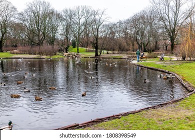 Warsaw, Poland - December 25, 2019: Krasinski Palace Park Garden In Winter Of Warszawa Cloudy Day And Waterfowl Ducks Birds Swimming In Pond Lake With People