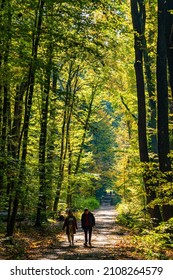 Warsaw, Poland - October 3, 2021: Early autumn landscape of Las Kabacki Forest with people enjoying outdoor walk in Ursynow district of Warsaw