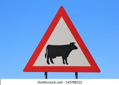 Warthog Road Crossing Sign - Danger, Warning Road Sign from Africa - Avoid collision with domestic cows or cattle as they might wonder onto the road.