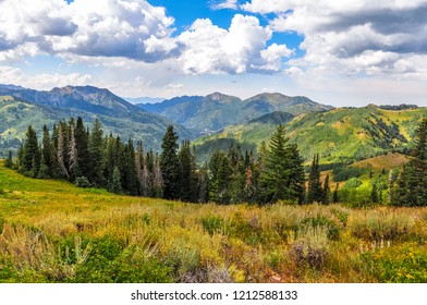 Wasatch Crest Trail