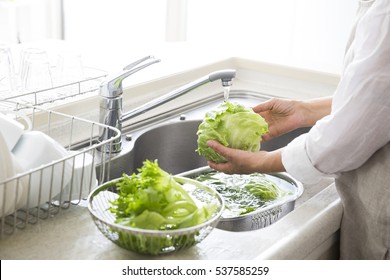 Wash the vegetables in the kitchen - Powered by Shutterstock