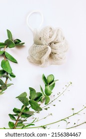 Washcloth Shower Sponge On A Background With Green Plants.