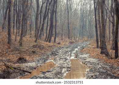 A washed out dirt road with huge puddles in a foggy forest in late fall. - Powered by Shutterstock