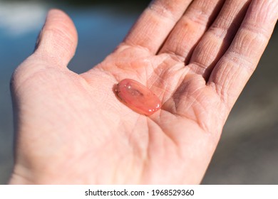 A Washed Up Shark Egg On An Open Left Hand, Found On A Beach In Norway.