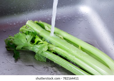 Washing Celery in the Kitchen Sink - Powered by Shutterstock