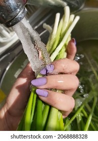 Washing - Cleaning Green Onions - Scallions Under Running Water