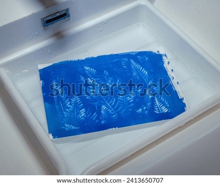 Washing exposed Cyanotype paper in water.