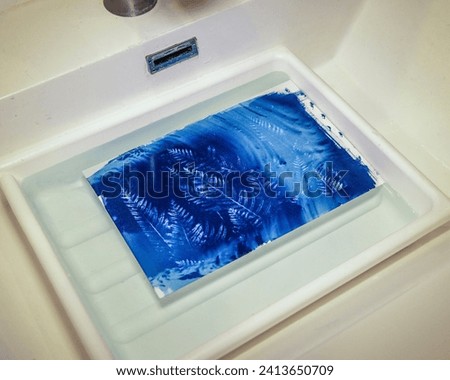 Washing exposed Cyanotype paper in water.