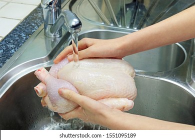 Washing A Fresh Raw Chicken Under Tap Water In The Kitchen Sink Risking The Chance Of Spreading Bacteria To Surrounding Surfaces.