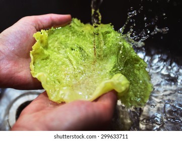 Washing Lettuce