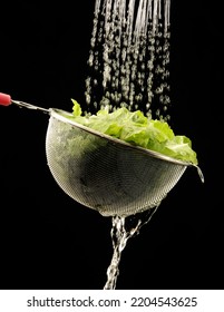 Washing Lettuce In A Colander