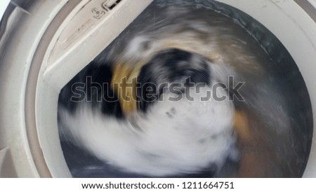 Image, Stock Photo cleaning Joy