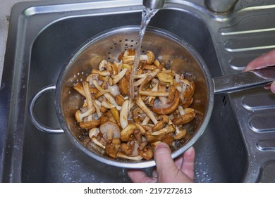 washing mushrooms under the faucet,wash edible wild mushrooms in a colander with water in the kitchen