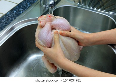 Washing Raw Chicken In The Kitchen Sink By Hand. This Method Can Cause The Spread Of Bacteria To Your Hands And Surrounding Surfaces.