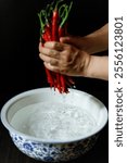 Washing Sichuan Erjingtiao red chili peppers placed in a blue and white porcelain basin in China