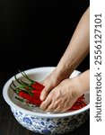 Washing Sichuan Erjingtiao red chili peppers placed in a blue and white porcelain basin in China