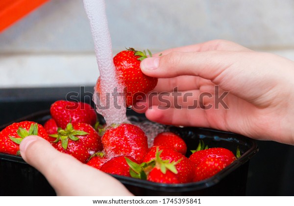 Washing strawberries. The girl washes\
the ripe strawberries under a strong stream of water, wash the\
strawberries thoroughly before eating. Selective\
focus.