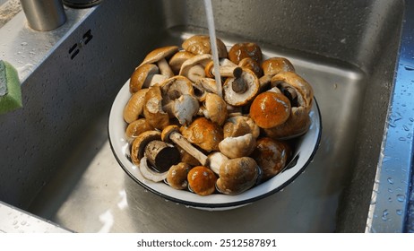 Washing variety of fresh mushrooms (boletus, leccinum) in a sink with a splash of water. Food preparation before cooking. Close up - Powered by Shutterstock