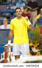 WASHINGTON - AUGUST 3, 2013:  Juan Martin Del Potro (ARG) Celebrates His Semifinal Victory Over Tommy Haas (GER, Not Pictured) At The Citi Open Tennis Tournament On August 3, 2013 In Washington