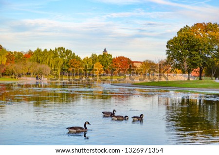 WASHINGTON D. C. 