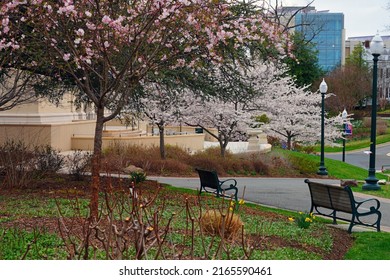 WASHINGTON, DC -26 MAR 2022- View Of The College Campus Of The American University (AU), A Private Research University In Washington, DC Renowned For Its School Of International Service.